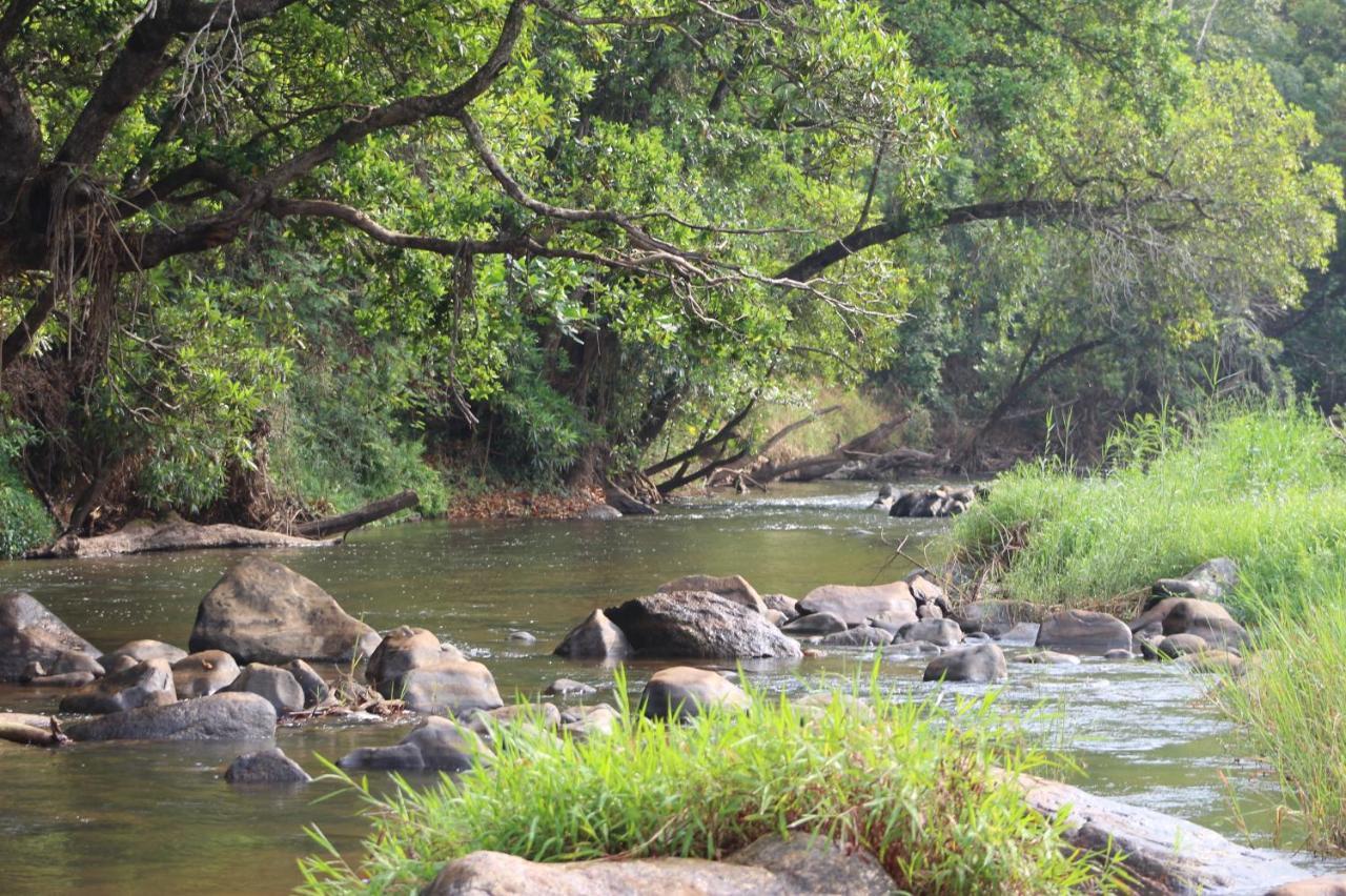 Lions Rock Rapids - Lodge Hazyview Esterno foto
