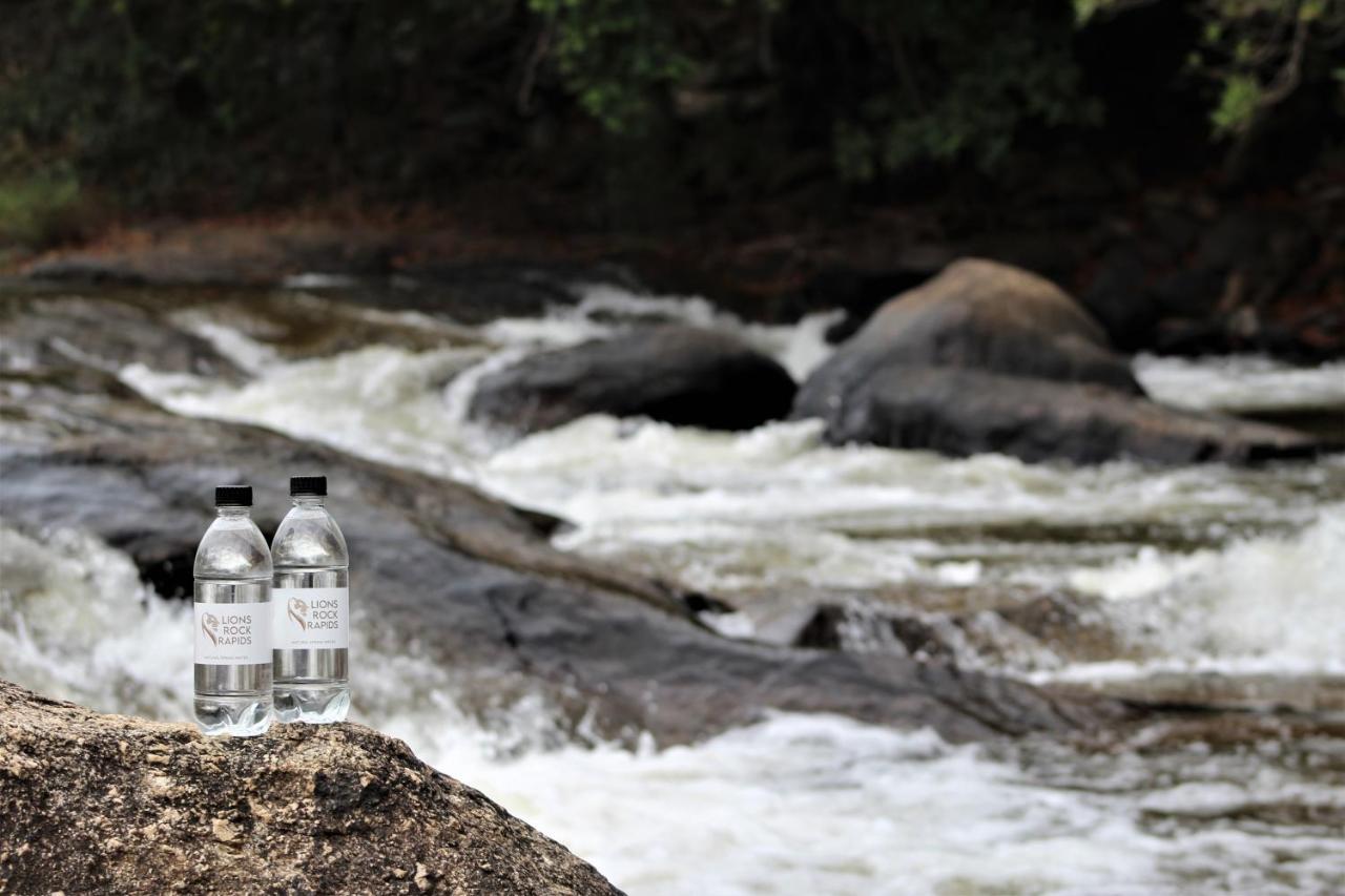 Lions Rock Rapids - Lodge Hazyview Esterno foto